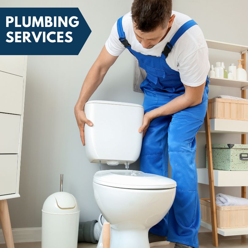 Plumbing Company in Witts Springs, AR